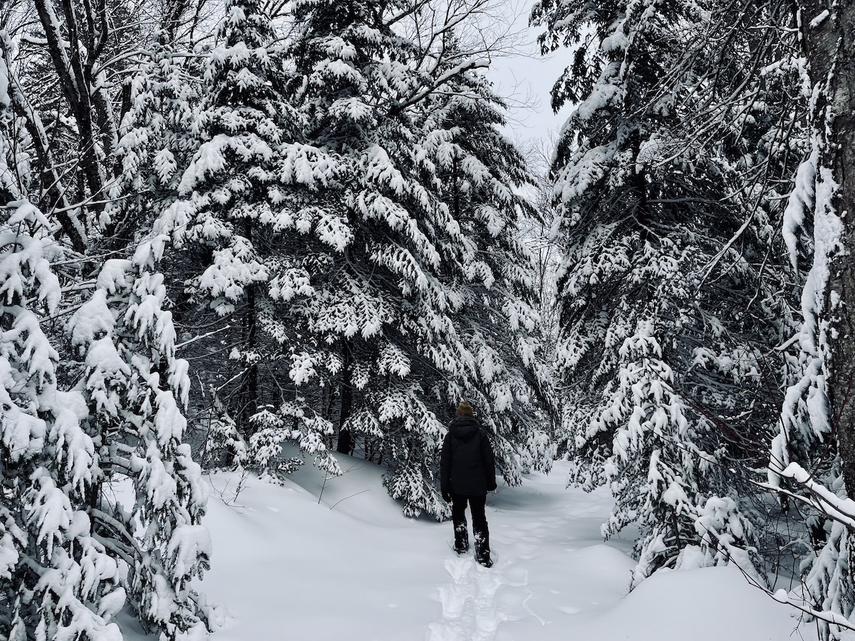 Snow walk