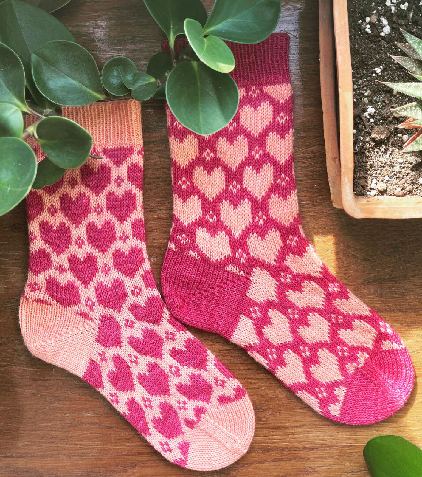 Valentine socks display